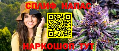 индика Можга