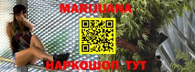 индика Можга