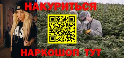 индика Можга